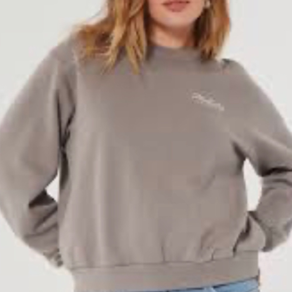 Hollister brown crewneck